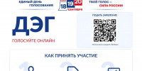 Новосибирцы смогут протестировать ДЭГ перед выборами - Сиб.фм
