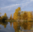фото: АПИ Урал - АПИ