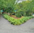 background - Kaluga-Poisk.Ru
