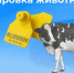 Маркирование и учет животных - Камешкирский район