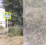 Минус 70 помоек: таганрогские коммунальщики вывезли более 1200 м³ мусора - Bloknot-Taganrog.Ru