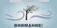 Рекомендации гражданам при усилении ветра - Город Новотроицк