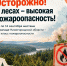 Осторожно: в лесах — высокая пожароопасность! - Сеченовский муниципальный округ