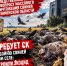 КПРФ обратилась в Следственный комитет по вопросу массового уничтожения свиней в Тюменской области - КПРФ