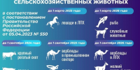 Учёт животных в личных подсобных хозяйствах - Администрация МР