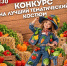 Ступинцев приглашают создать образ в стиле «Фермерский шик» - Городской округ Ступино