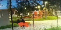 В Туле молодая пара украла гамак - ТК Первый Тульский