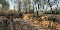 Суд обязал волгоградца восстановить землю в природном парке - Volganet.Net