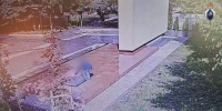 В Калининграде возбуждено уголовное дело об осквернении мемориала на братской могиле советских воинов - KaliningradToday.Ru
