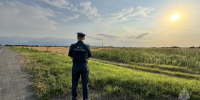 Сотрудники МЧС России проводят профилактические рейды по сельхозугодьям Пригородного района - ГУ МЧС