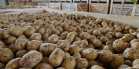 Однако погодные условия не позволяют сделать это быстро. - Газета Маяк