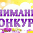 Министерство молодежной политики Республики Коми информирует. - Сыктывдинский район