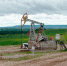 Российская нефть может заменить импортное сырьё для лечебных мазей - Альметьевск РТВ
