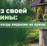 Скважина на участке: как не нарваться на штраф, рассказали татарстанцам - ТРК Татарстан-Новый век