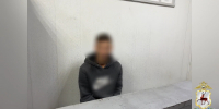 18-летний пьяный водитель иномарки под Выксой пытался сбежать от полицейских через лес после погони - ProGorodNN.Ru