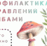 Меры профилактики отравлений грибами. - Администрация г. Клинцы