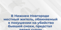 В Нижнем Новгороде местный житель, обвиняемый в покушении на убийство бывшей снохи, предстал перед судом - СУ СК РФ