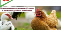 КОГО НЕОБХОДИМО ПОСТАВИТЬ НА УЧЁТ? - Шемышейский район