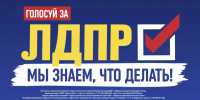 ЛДПР: сделать Курскую область территорией достойной жизни - ЛДПР