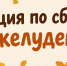 Акция по сбору желудей «Кабанам ням-ням» - Сетевое издание Киришский факел