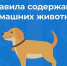 ВНИМАНИЮ владельцев собак! - Мезенский район