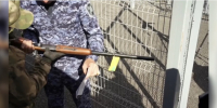 Росгвардия продолжает оказывать всестороннюю поддержку войскам в зоне СВО - Росгвардия
