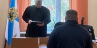 Северодвинский бугай, ударивший ребенка на велосипеде, получил судебный штраф - Tv29.Ru