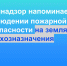 Земнадзор напоминает о необходимости соблюдения мер пожарной безопасности на землях сельхозназначения - Murman.Ru