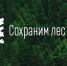 Всероссийская акция «Сохраним лес» - Город Обь
