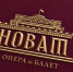 НОВАТ представил новый фирменный стиль с пурпурным цветом - КП-Новосибирск
