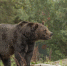 image - GazetaRB.Ru