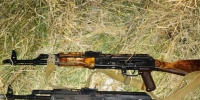 Новосибирцы заплатят по 500 тысяч рублей за незаконную охоту на косуль - КП-Новосибирск