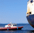 Спасатели МЧС не нашли разливов топлива рядом с выброшенным к маяку судном - NewsVl.Ru