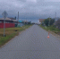 Госавтоинспекция с. Исетское разыскивает очевидцев ДТП - Yalutorovsk.Online