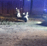 image - GazetaRB.Ru