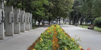 Более 7 тысяч цветов высадили на клумбах Ставрополя ко Дню города. - Администрация Ставрополя