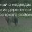 Поделитья во ВКонтакте - Братская Студия Телевидения