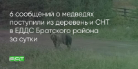 Поделитья во ВКонтакте - Братская Студия Телевидения
