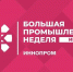 Неваляшку в сари представили на выставке «Иннопром. Индия» - ИА Общественная служба новостей