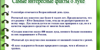 10 необычных фактов о луке, которых вы не знали - Газета Новости Кунгурского края
