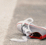 Фото: Ground Picture/Shutterstock/Fotodom - Ямал-Медиа