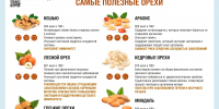 Как выбрать орехи? - Роспотребнадзор