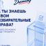"Избирательный диктант": проверьте свои знания о выборах и праве - Законодательное Собрание