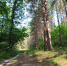 Погода в Смоленской области на сентябрь: днём до +20, ночью — заморозки - Комсомольская Правда