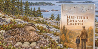 Птицам Мурманской области посвятили книгу - SeverPost.ru