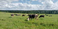 Нажмите для предварительного просмотра изображения - Красногорский район УР