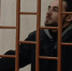 Жителю Ярославской области увеличили срок до десяти лет за комментарии на YouTube, написанные из рыбинской колонии - YarCube.Ru