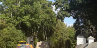 В Пушкинских Горах стартовала укладка асфальта на съезде к АЗС - Псковская правда