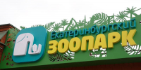 В екатеринбургском зоопарке орангутан Захар отмечает день рождения - EaNews.Ru