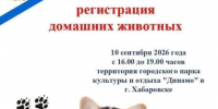 Сергей Кравчук: прямой диалог между властью и бизнесом защищает интересы людей даже в самых сложных ситуациях - Администрация г. Хабаровска
